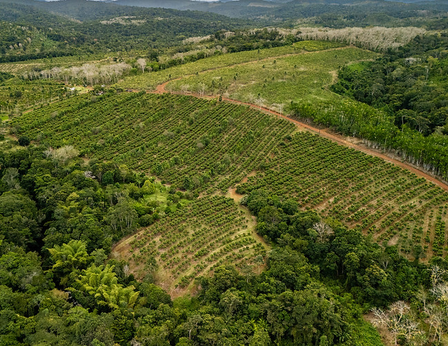 DJI_20250826124929_0015_D-2 (1) (1).jpg