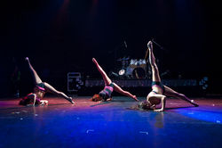 ©StevenPaulWhitsitt