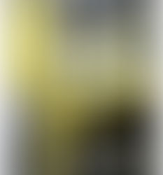 LIPO 6 BLACK INTENSE (Ultra concentrate)