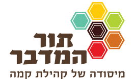 יעוץ שיווקי לעסק חברתי