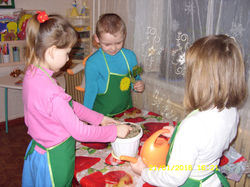 пересадка кімнатної рослини