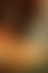 Positive Way Horsemanship Clinic