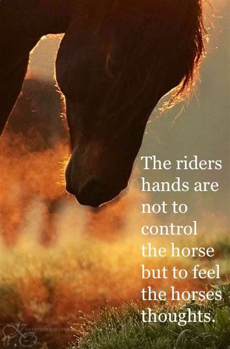 Positive Way Horsemanship Clinic