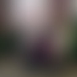 Thank you Ms. Courtney