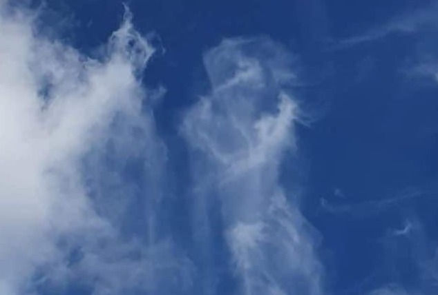 Everything is a Sign.