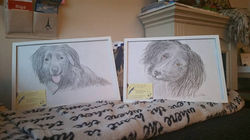 16105509_2182841575273333_54486380891166038_n