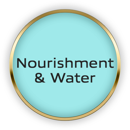 g_nourishment_H.png