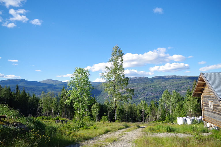 IMGP4983.JPG