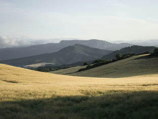 Sin esperanza, no hay peregrinaje: Lecciones del Camino de Santiago
