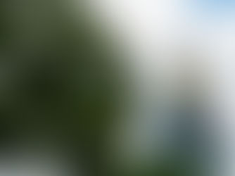 Obispos de Colorado emiten una carta abierta al gobernador Jared Polis en contra de la financiación pública del aborto