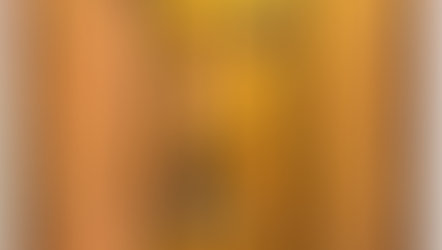 Hombre herido por amor: Lo que san Francisco nos enseña a través de los estigmas, 800 años después