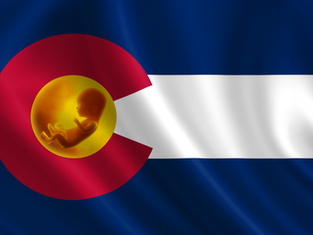 Pro-Life Colorado: Construyendo una cultura de vida