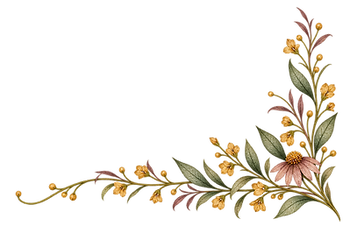 FoundersStory_motif4.png