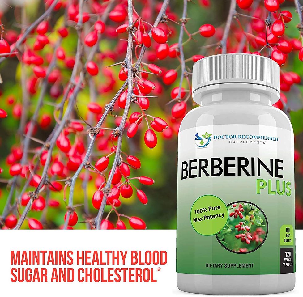 섬네일: 고함량 베르베린, 로얄젤리 Berberine Plus 1200mg, 120정 Veggie Capsules Royal Jelly