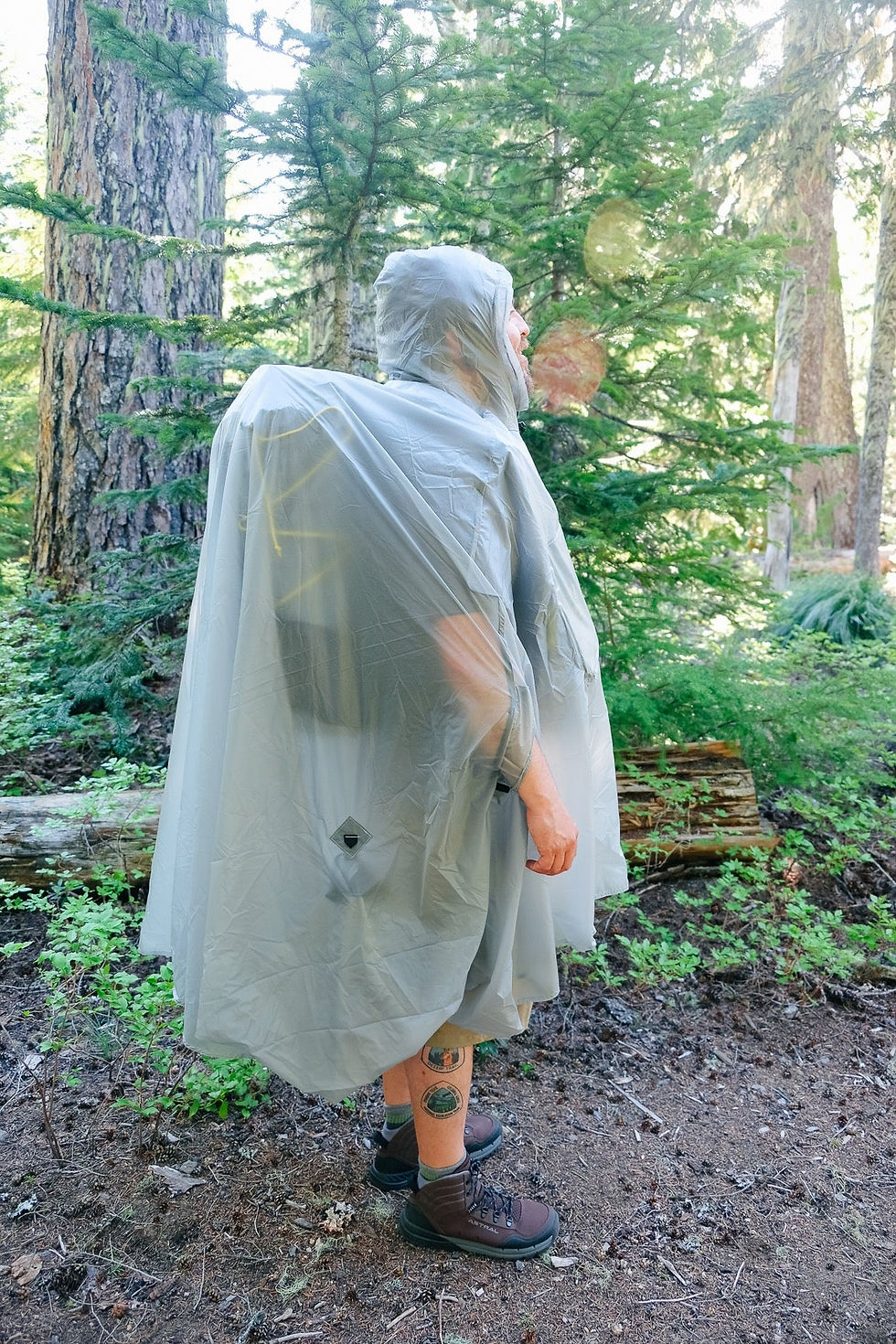 섬네일: Gatewood Cape