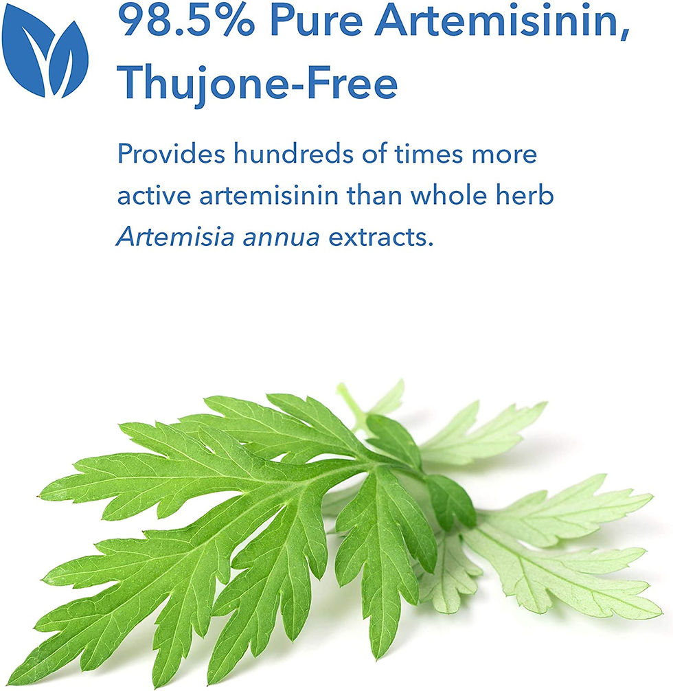 섬네일: 순수 초고함량 아르테미니신 200mg 90정 - Allergy Research Group - Artemisinin