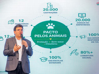 Governo do Piauí lança Pacto pelos Animais que prevê 20 mil castrações, combate a maus‑tratos e ações integradas em todos os municípios