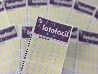Resultado da Lotofácil 3713: cinco apostas do Piauí acertam números; veja valores