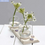 Miniature : 6 Anneaux en bois