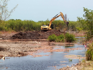 Entre indígenas te veas