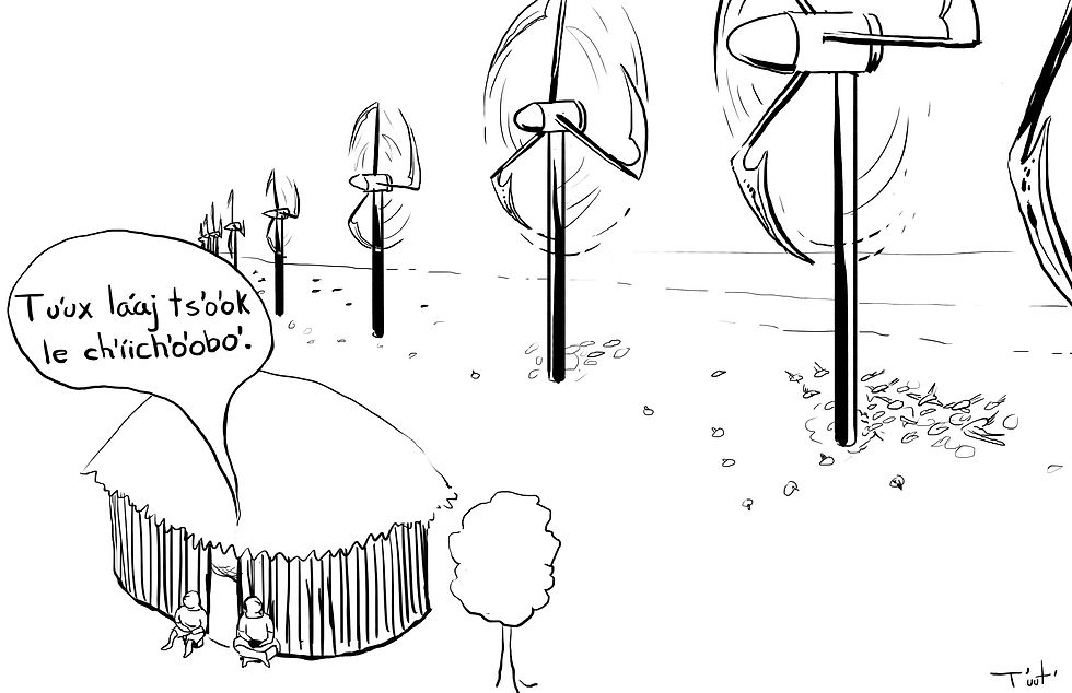 TU´UX LÁAJ TS´O´OK LE CH´ÍICH´O´OBO´
