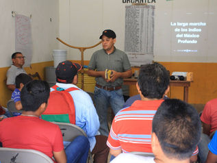 Múuch’ Xíinbal: el “ya basta” al “negocio verde” a costa de los pueblos mayas