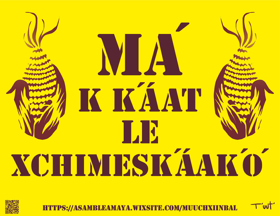 MA’ K K’ÁAT LE XCHIMESK’ÁAK’O’.