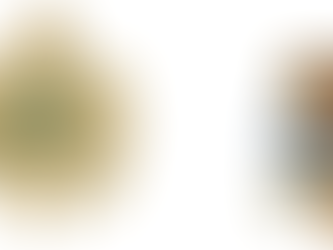 Histórias da Rodada – Semana 15