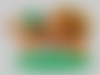 Histórias da Rodada: Semana 12