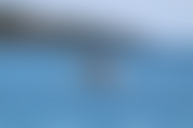 Baleia Week reúne uma programação especial