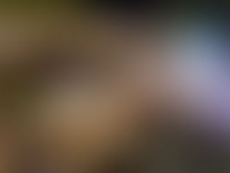 Luau na Enseada anima feriado prolongado de Páscoa com música e forró à beira-mar