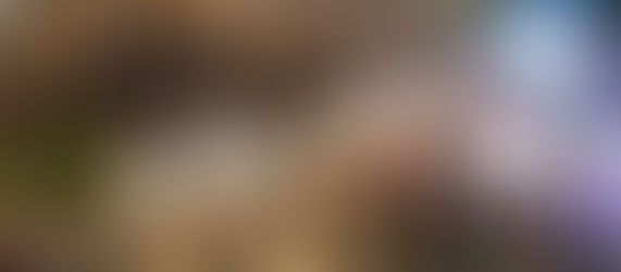 Luau na Enseada anima feriado prolongado de Páscoa com música e forró à beira-mar