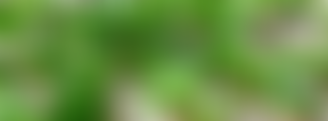 Mutirão de plantio de jundu tem participação de alunos do Instituto Federal em Caraguatatuba