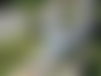 Prefeitura de São Sebastião estende horário do transporte público durante Verão Show