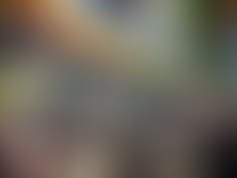 Ilhabela alerta para proibição de bebidas em recipientes de vidro e spray de espuma durante o CarnaIlha 2026