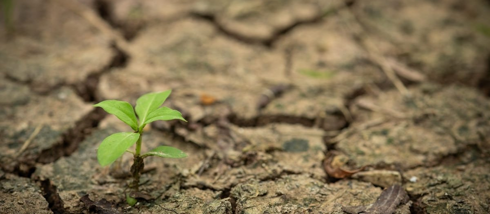 Defesa Civil de Ubatuba participa de congresso sobre resiliência climática
