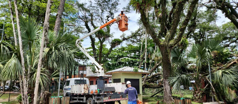 Moradores de Caraguatatuba afetados pelo vendaval de julho podem sacar FGTS por calamidade