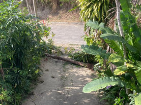 Vendaval mobiliza equipes da Prefeitura e São Sebastião mantém alerta para novas rajadas
