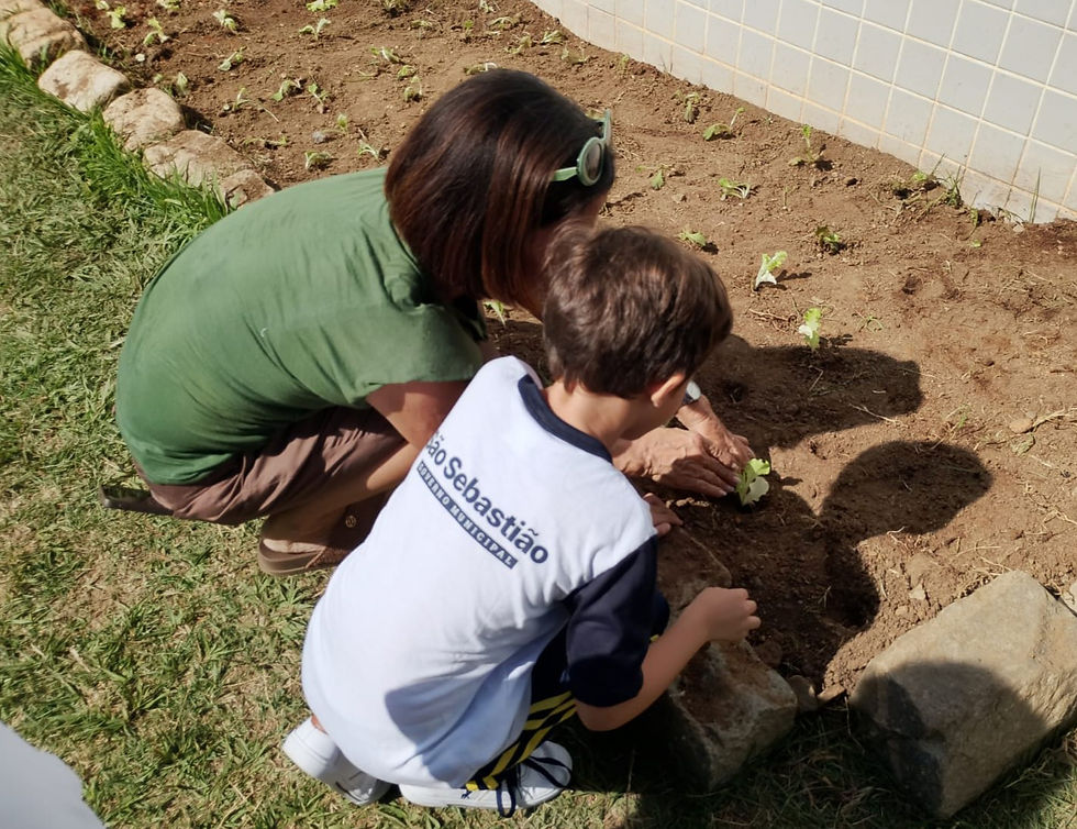 Prefeitura promove ação do projeto ‘Horta para Todos’ com participação de cerca de 140 alunos