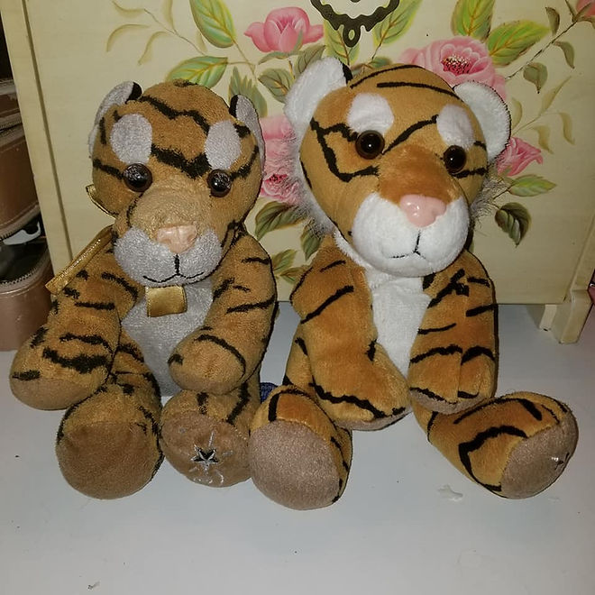 Old and new Boppitt