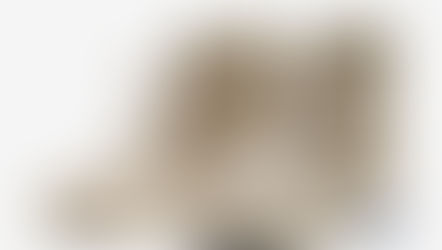 Nike Air Fear of God 1 "Oatmeal" chega ao Brasil