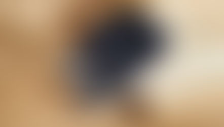 Vans eleva o design de seus clássicos com o Overply Pack