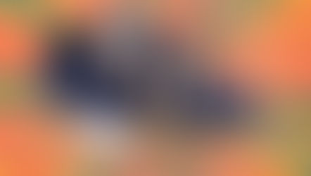 QIX Hexagon, o clássico do skate nacional está de volta