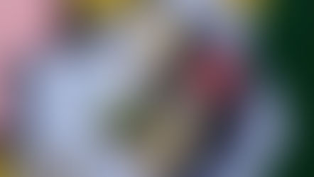 Honrando seu legado, Vans apresenta a coleção Mismatch Pack - que chega ao Brasil