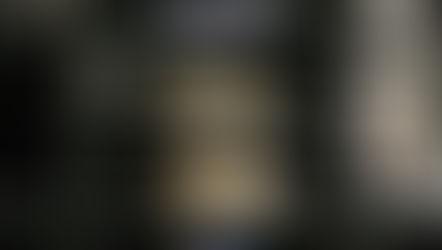 Casestudy x Vans Era LX/Style 36 LX