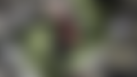 Air Jordan 6 Pinnacle "Flight Jacket"