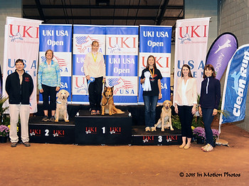 Cynosports trainer's dog agility win