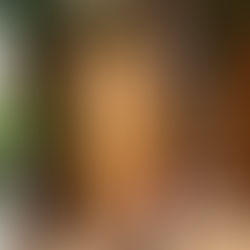 【日々是精進】Happy Xmas🎄