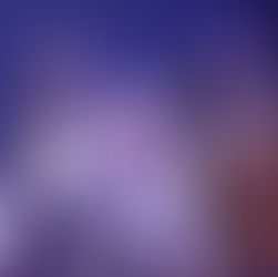 OSO POLAR DECAPITADO