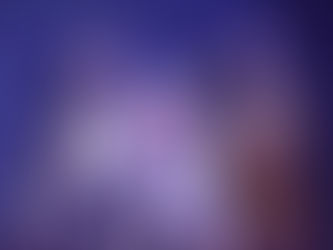 OSO POLAR DECAPITADO